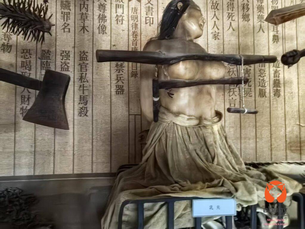 微信图片_202505051051568